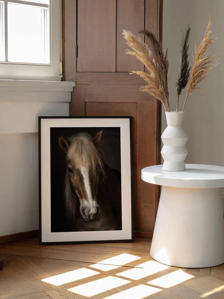 Majestic Horse Portrait