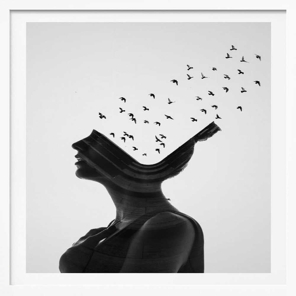Imagination Takes Flight, arte de Erkin Demir