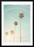 Sunny Cali Palm Tree