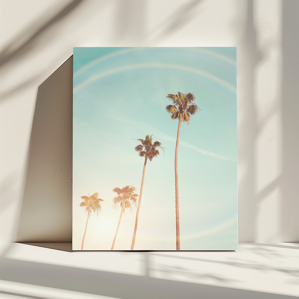 Sunny Cali Palm Tree