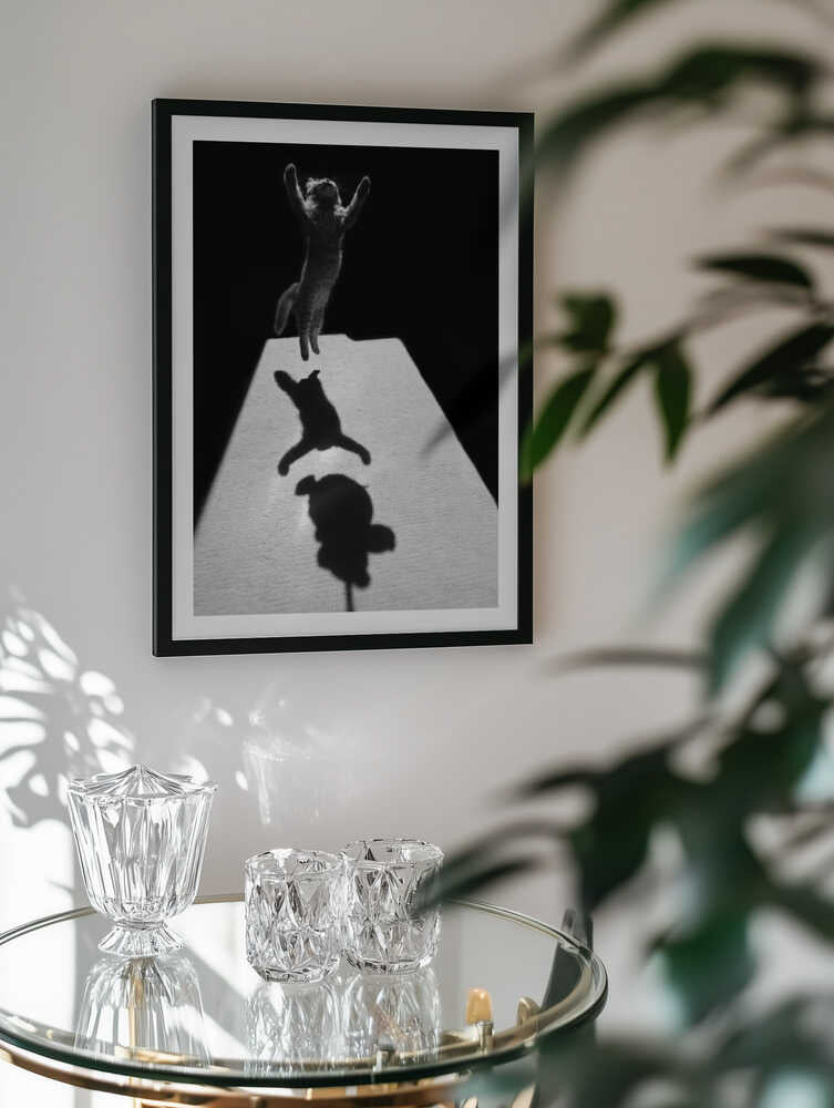 Jumping Cat Shadow, arte de Jure Kravanja