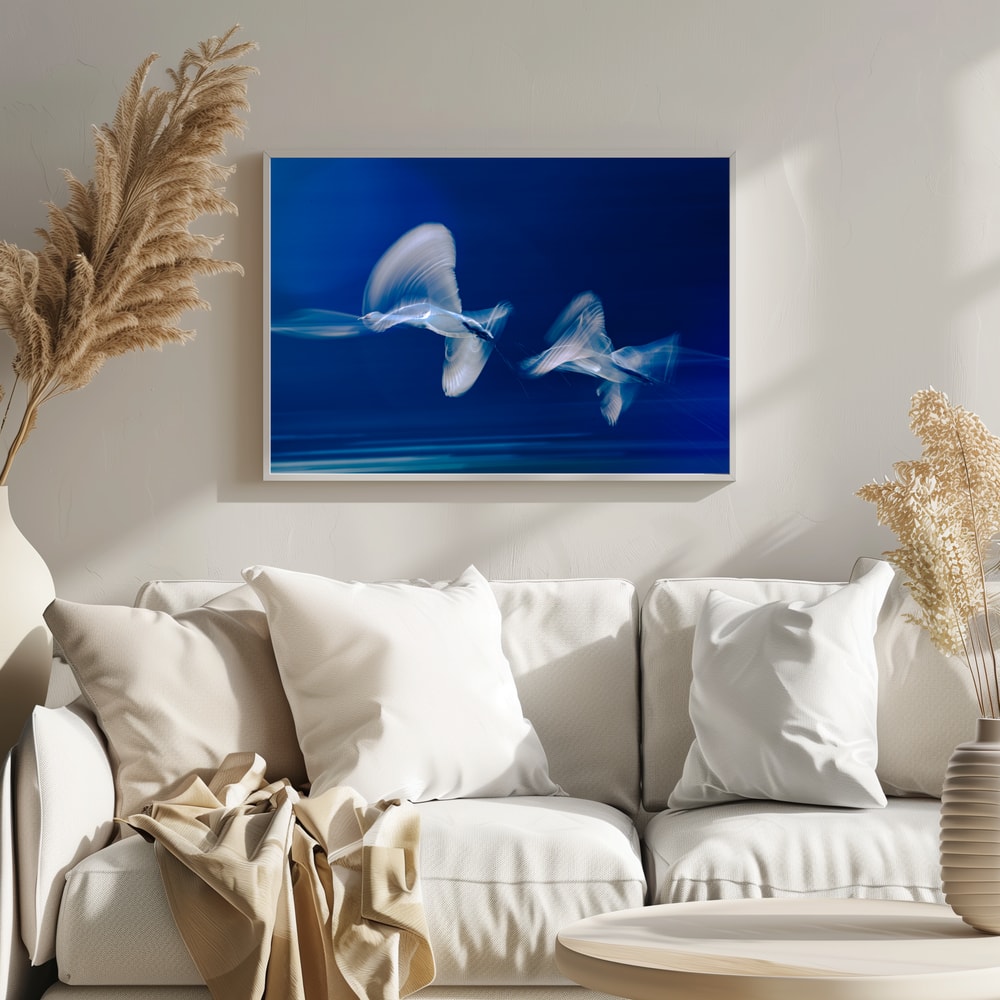Blue Birds in Motion