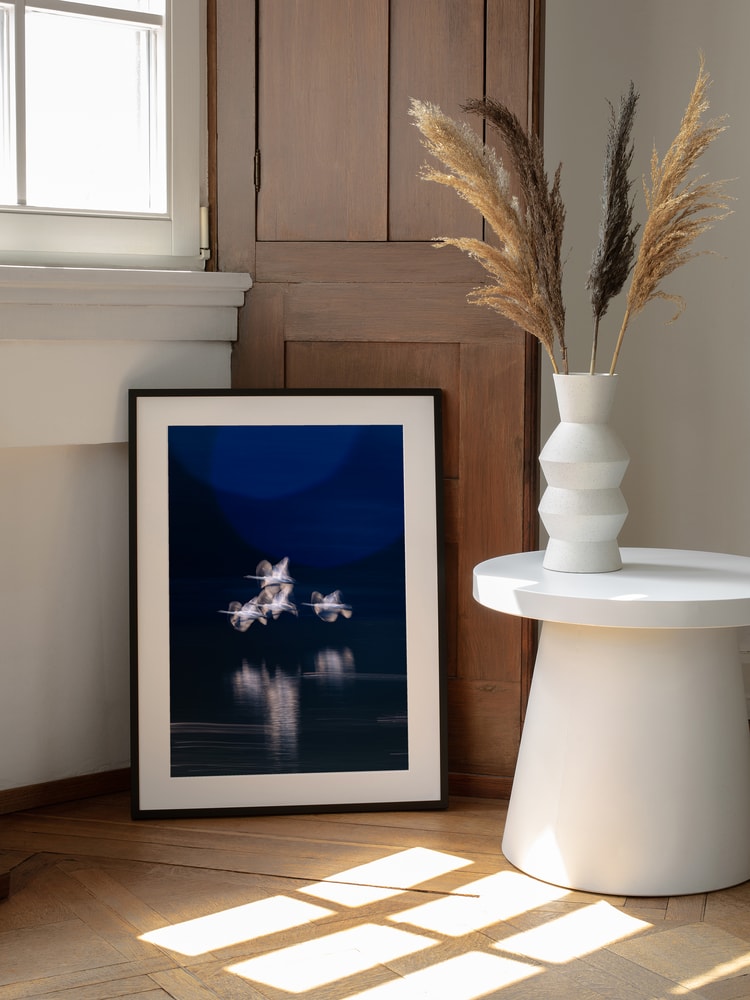 Ethereal Swans In Motion