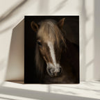 Majestic Horse Portrait
