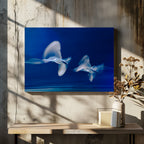 Blue Birds in Motion