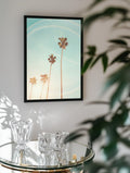 Sunny Cali Palm Tree