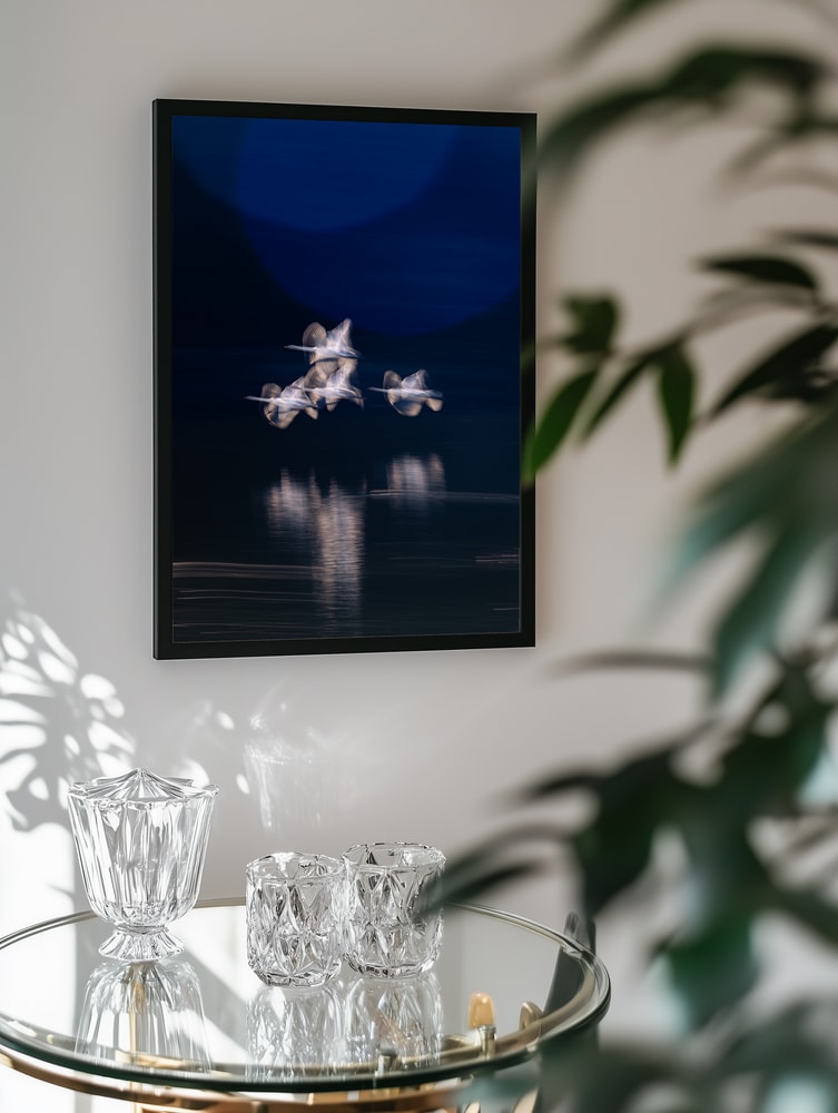 Ethereal Swans In Motion