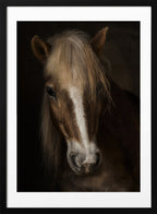 Majestic Horse Portrait