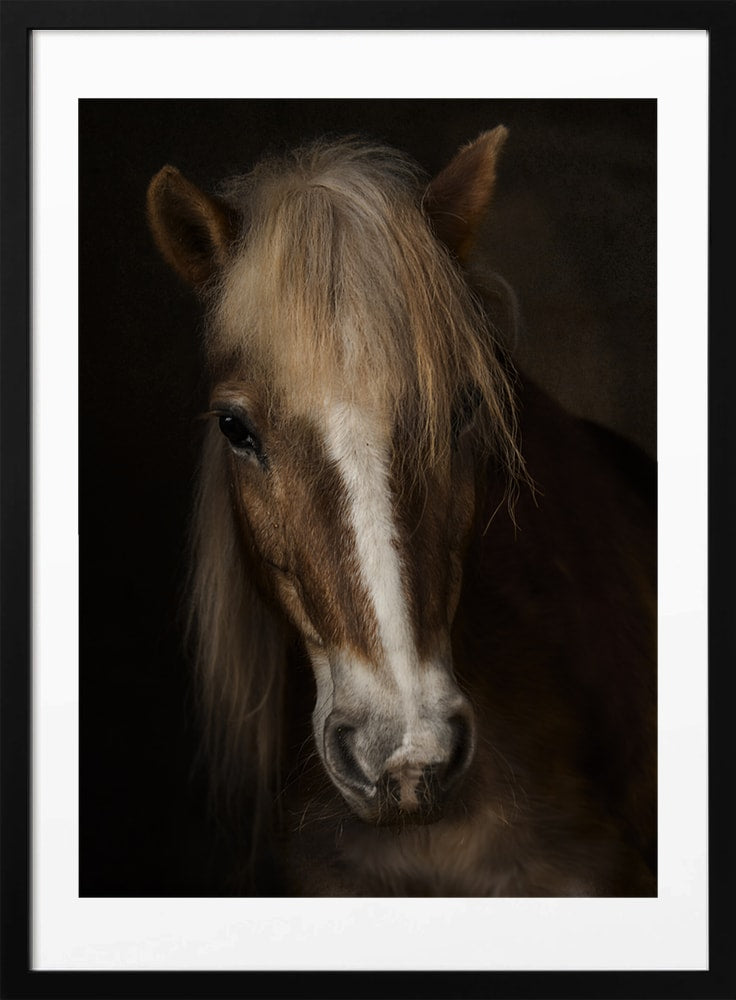 Majestic Horse Portrait