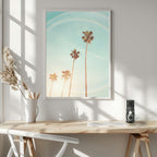 Sunny Cali Palm Tree