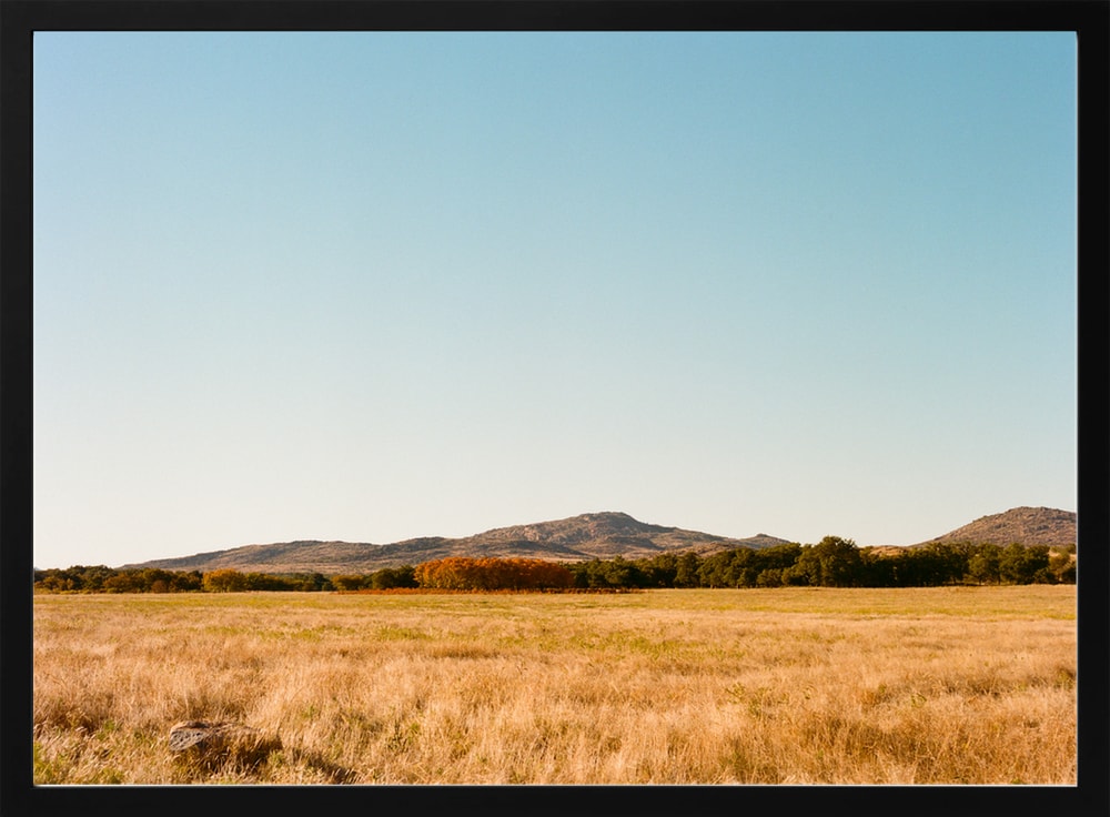 Fall Golden Hour II on Film