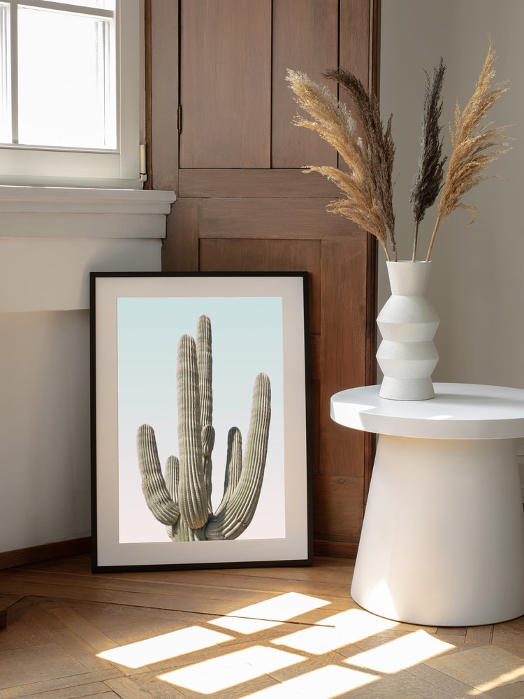 Saguaro