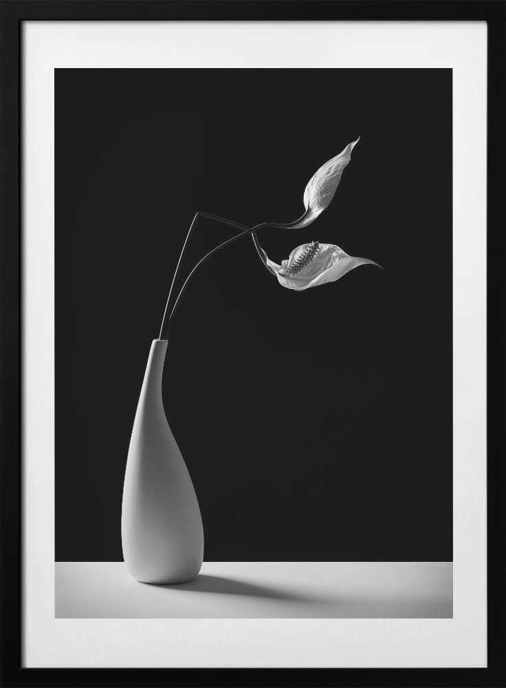 Graceful Peace Lilies Vase, arte de Kristina Oveckova con marco