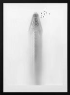 Misty Urban Flight, arte de Carmine Chiriacò con marco