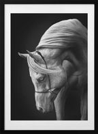 Majestic White Horse
