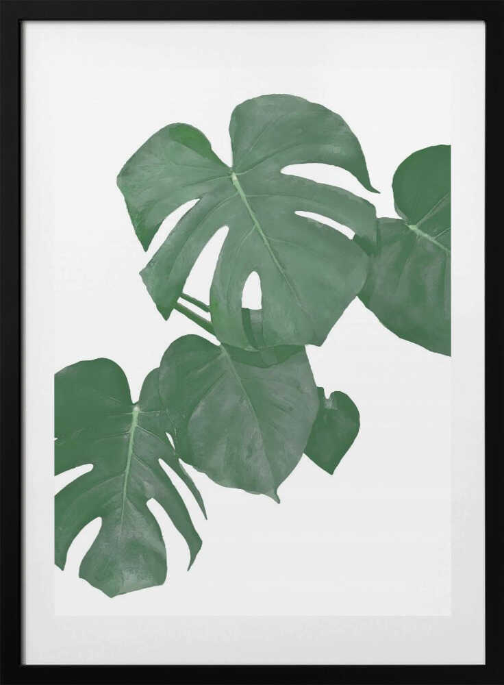 Lush Monstera Leaves, arte de Pictufy Studio II con marco
