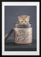 Sweet Kitten In Sugar Tin, arte de Arendina de Jong con marco
