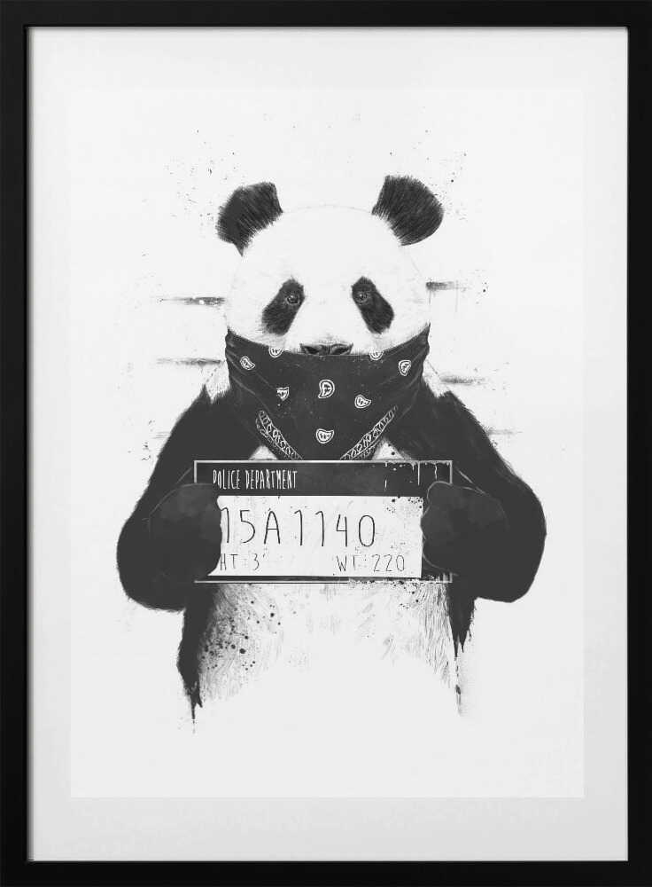 Gangster Panda Mugshot, arte de Balazs Solti con marco