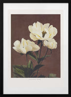 Hærdaceous Peony, arte de Ogawa Kazumasa con marco
