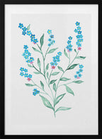 Watercolor Forget-Me-Nots, arte de Kata Botanical con marco