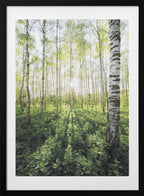 Birch Grove vertical