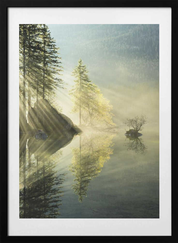 God Rays vertical