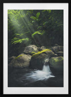 Mystic Jungle