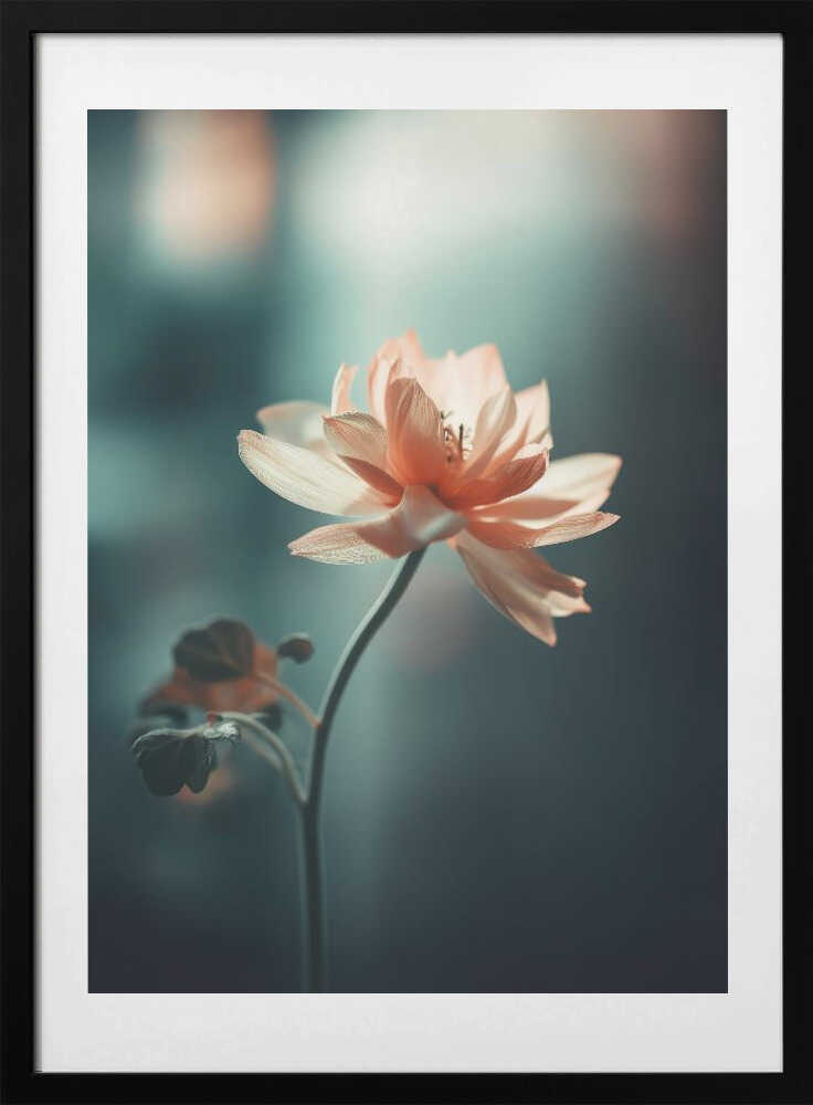 Petal Serenity, arte de Treechild con marco