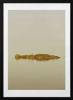 Floating Moss Island Pearl, arte de Javier Pardina con marco