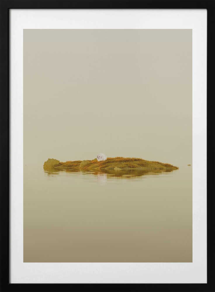 Floating Moss Island Pearl, arte de Javier Pardina con marco