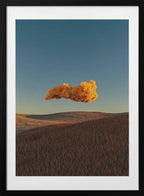 Dreamy Orange Cloud, arte de Javier Pardina con marco