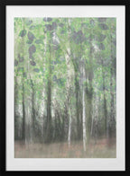 Dreamy Birch Woods, arte de Christina Sillen con marco