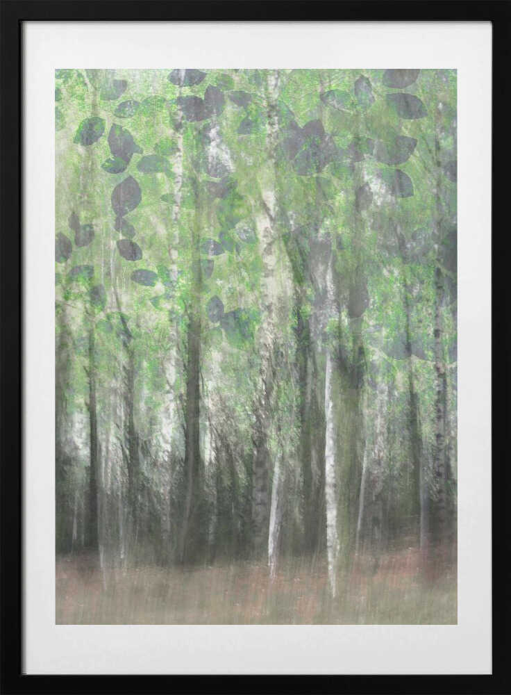 Dreamy Birch Woods, arte de Christina Sillen con marco