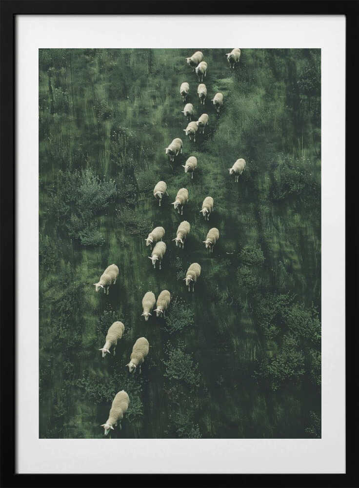 Sheep's Journey Home, arte de Treechild con marco
