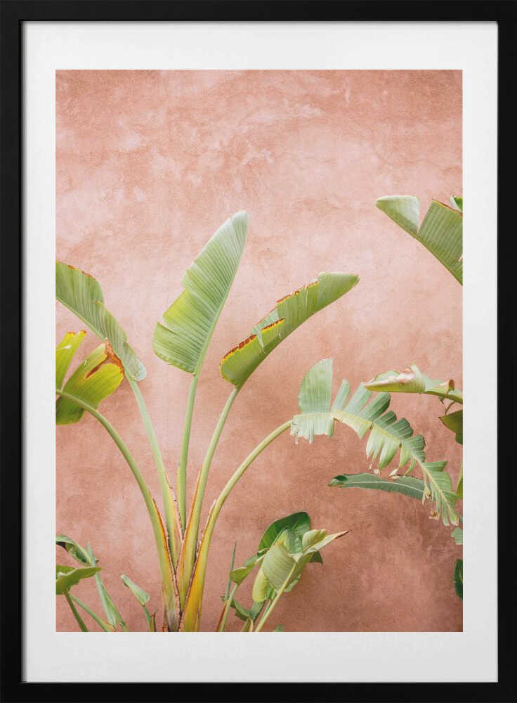 Palms of Ourika Morocco, arte de Raisa Zwart con marco