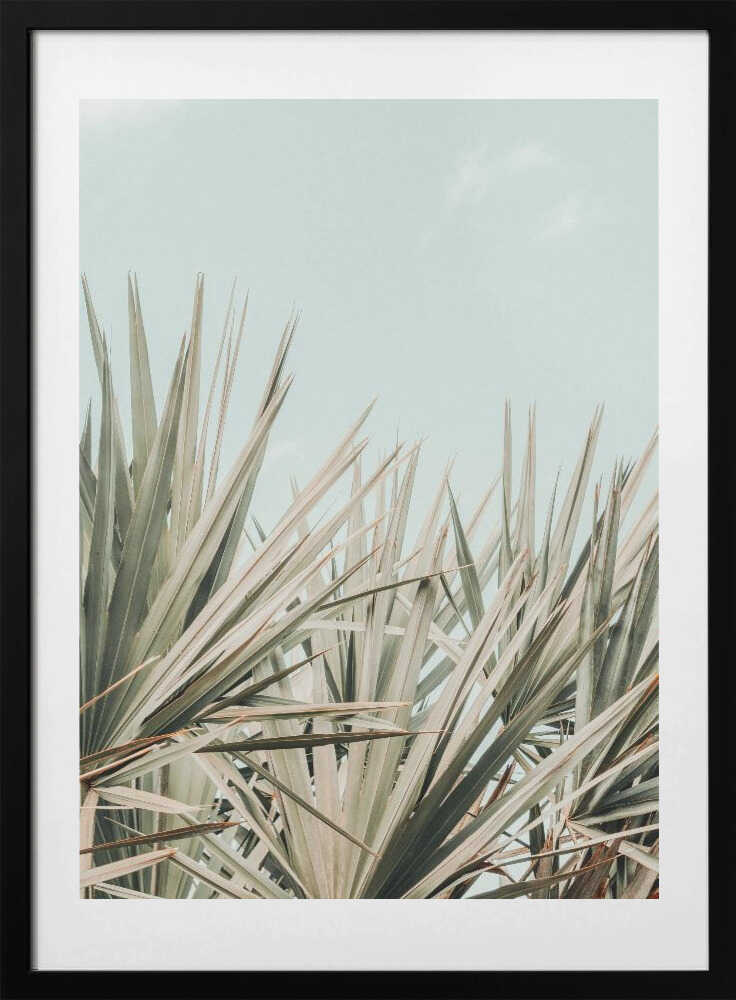 Skyward Palm Leaves, arte de Olivia Joy StClaire con marco