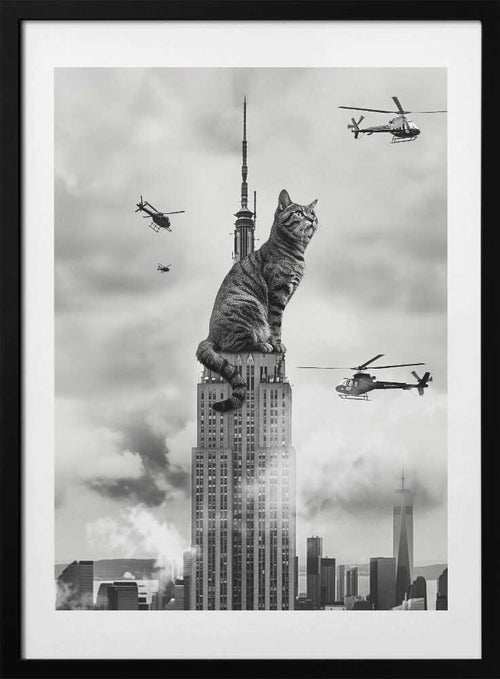 Cat on top, arte de Dikhotomy con marco