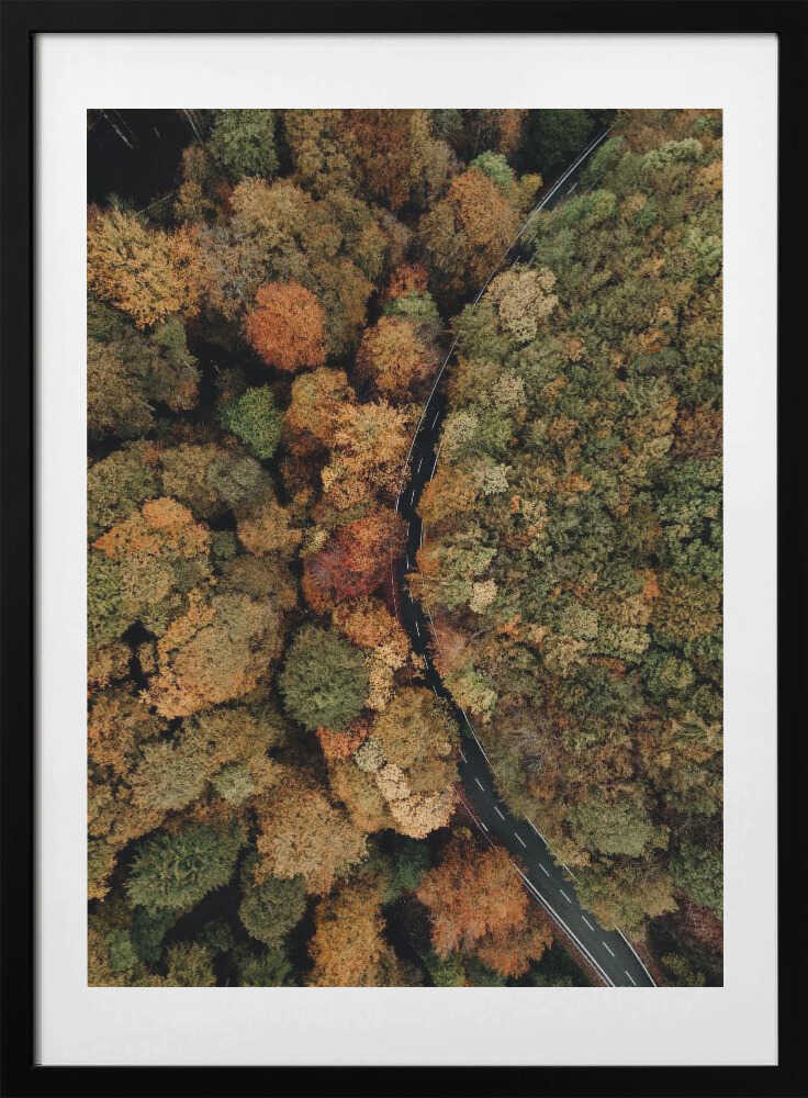 Winding Autumn Road, arte de Javier Pardina con marco
