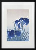 Iris Flowers, arte de Ohara Koson con marco