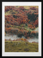Colorful Autumn Forest Mist, arte de Javier Pardina con marco