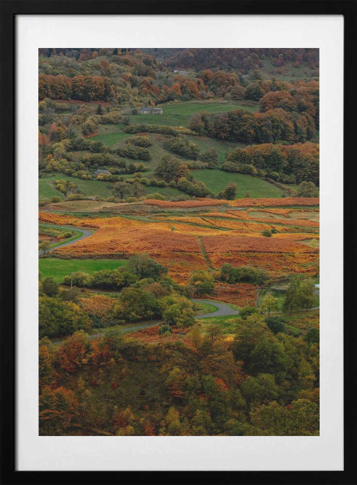 Winding Autumn Road, arte de Javier Pardina con marco