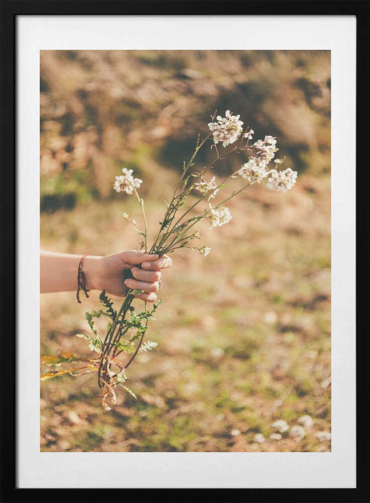 Delicate Wildflowers in Hand, arte de Javier Pardina con marco