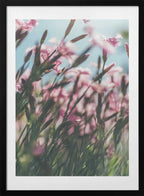 Blushing Pink Flowers, arte de Javier Pardina con marco