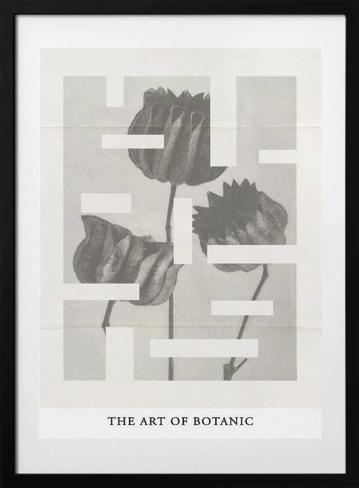 The art of botanic No.1, arte de THE MIUUS STUDIO con marco