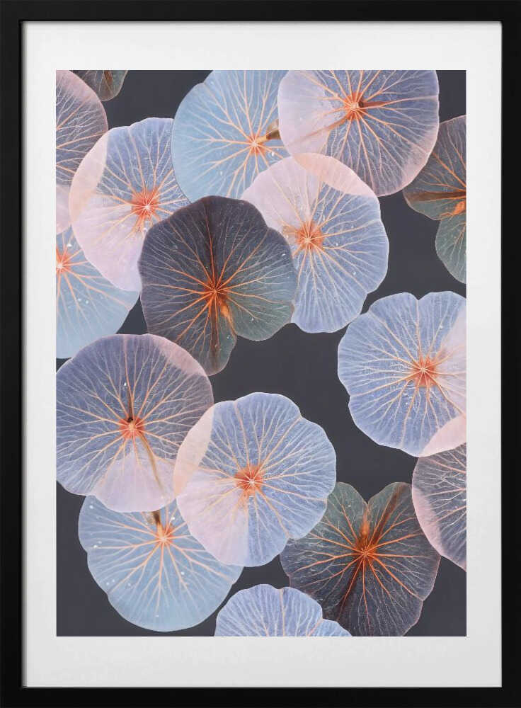 Ethereal Floating Leaves, arte de Uma Gokhale con marco
