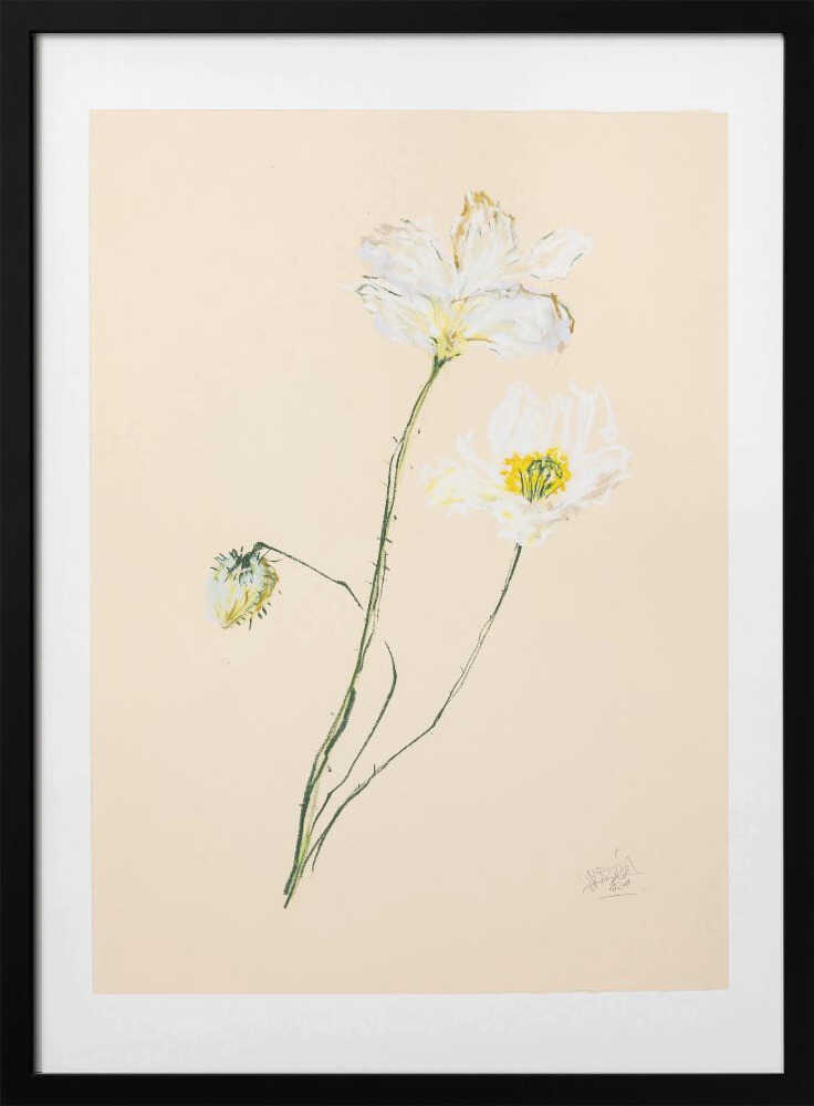 Delicate White Poppies, arte de Mette Rix con marco
