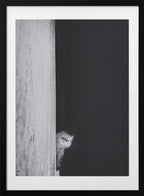 Curious Peeking Cat, arte de Sajad Aslani con marco