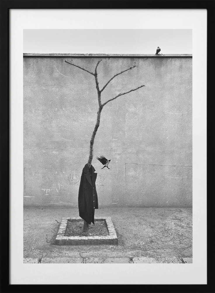Boundless, arte de Sajad Aslani con marco