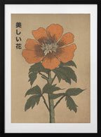 Beautiful Japanese Flower, arte de Nicholas con marco