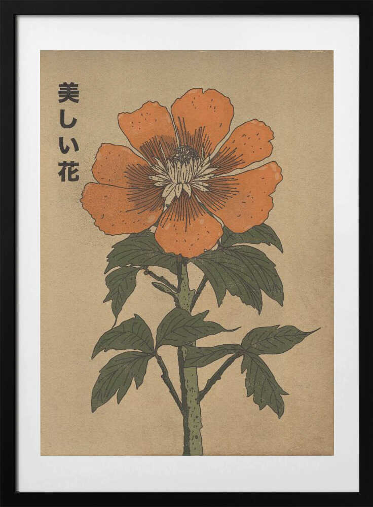 Beautiful Japanese Flower, arte de Nicholas con marco